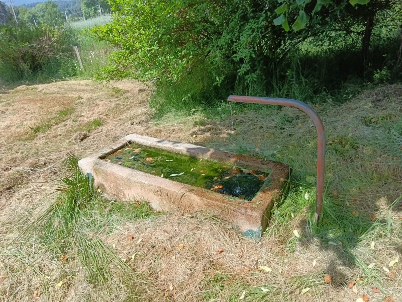 Photo mobile 1