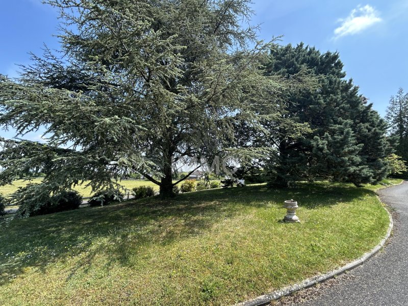 Demeure à Savonnières (37510) - Photo 3