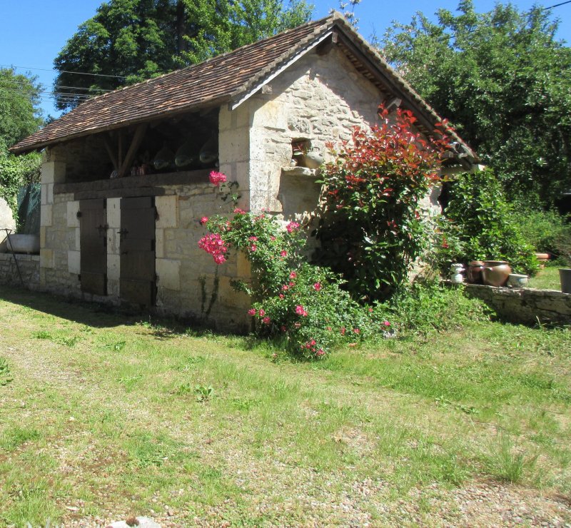 Photo 5
