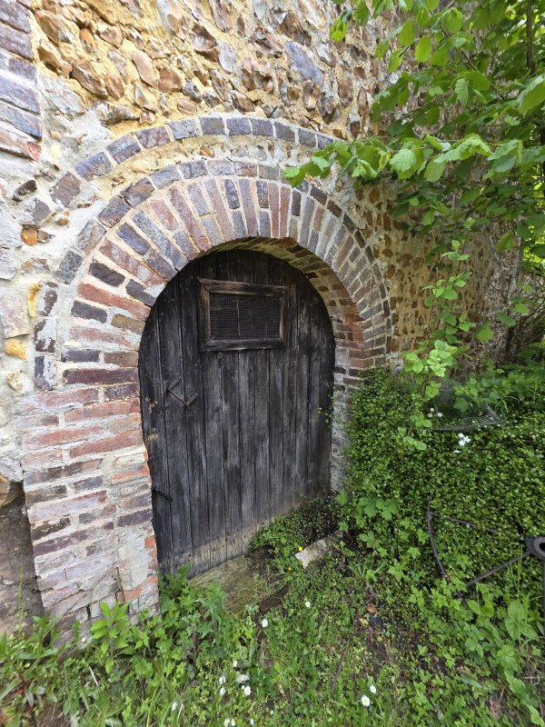 Photo 11