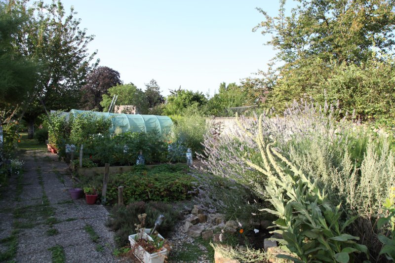 Photo 15