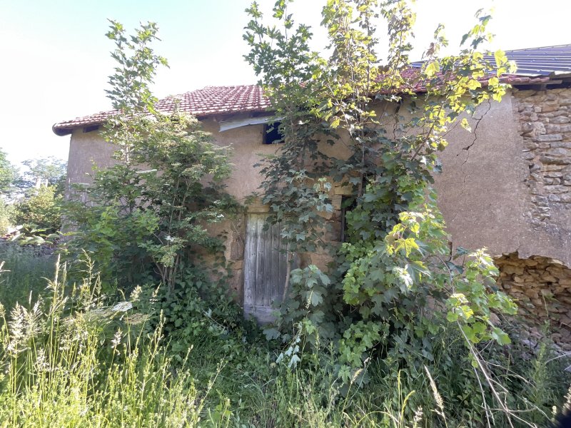 Photo mobile 1