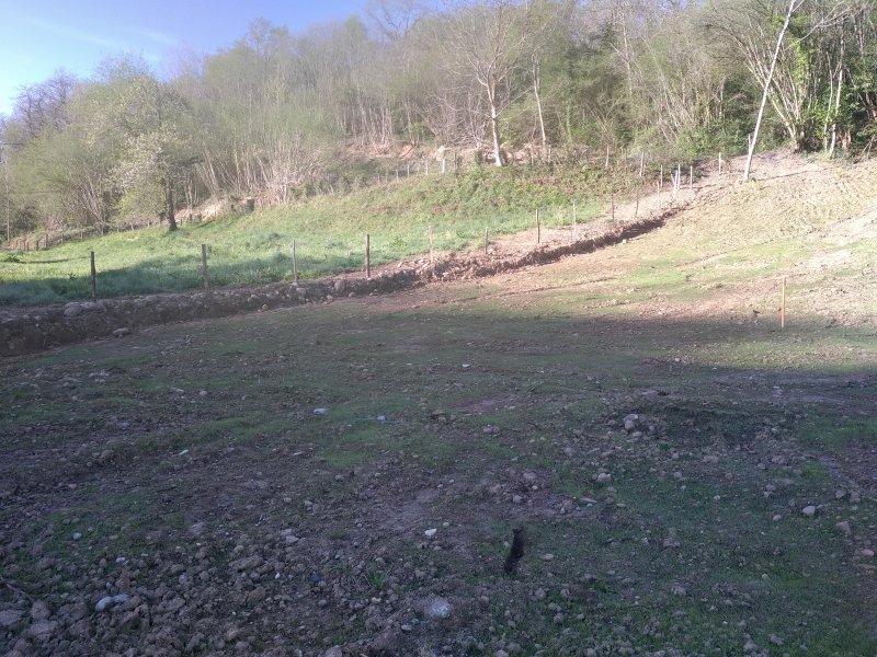 Photo mobile 1