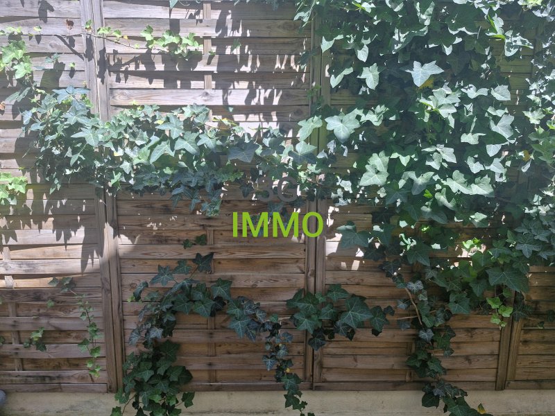 Photo mobile 1