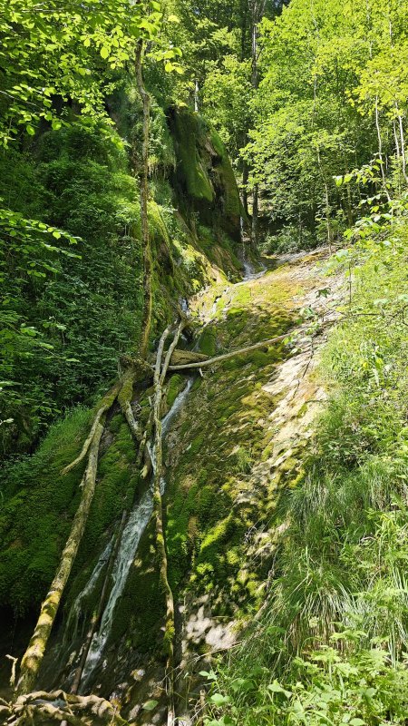 Photo mobile 1