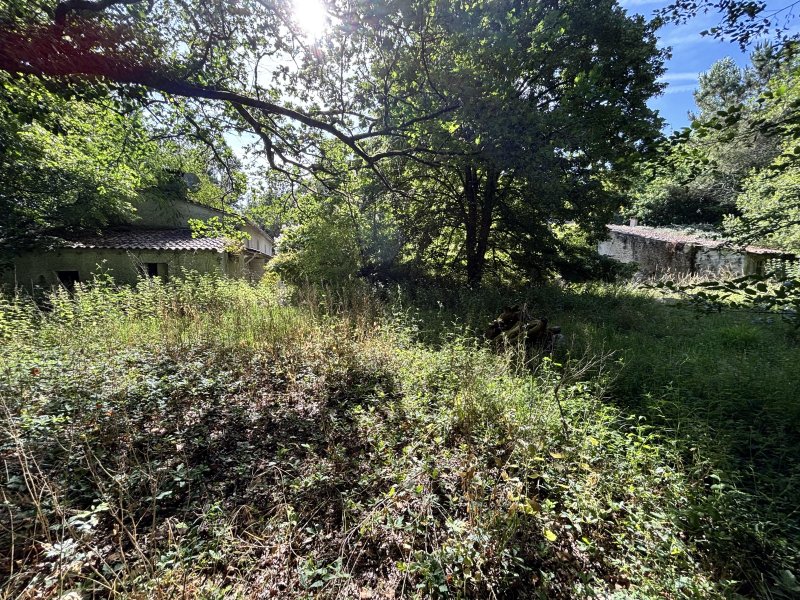 Maison à Peujard (33240) - Photo 5