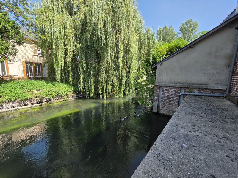 Photo 13