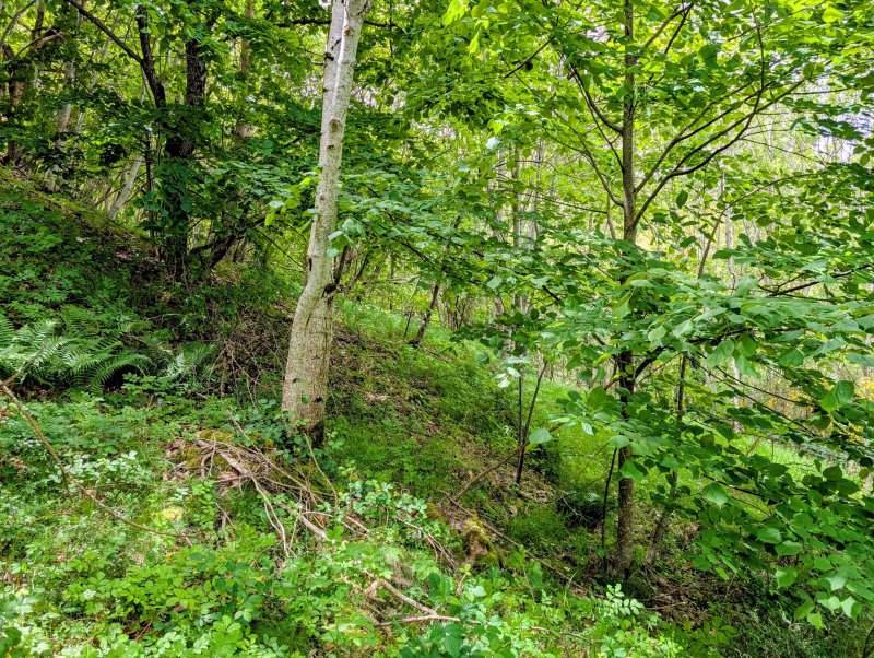 Terrain de loisirs à Albon-d'Ardèche (07190) - Photo 3