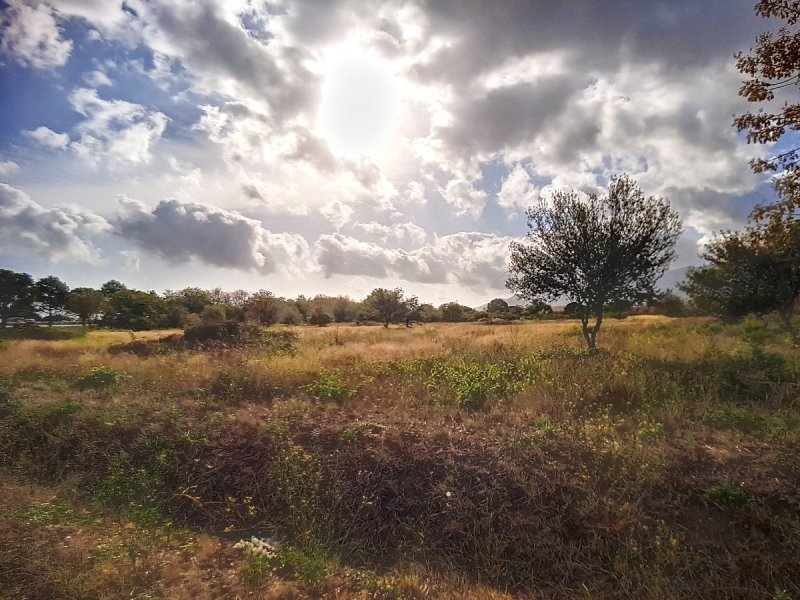 Terrain à Saint-André (66690)