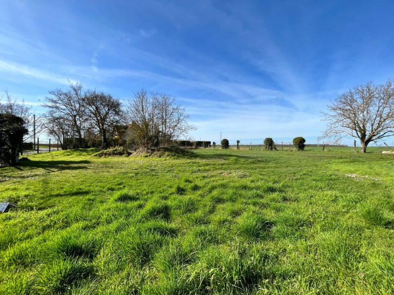 Terrain à Bougligny (77570)