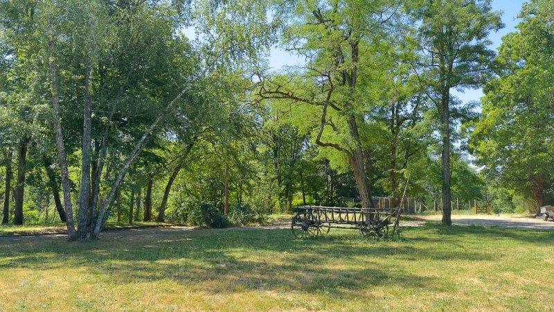 Maison à Montigny-sur-Loing (77690) - Photo 3