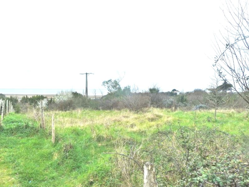 Photo mobile 1