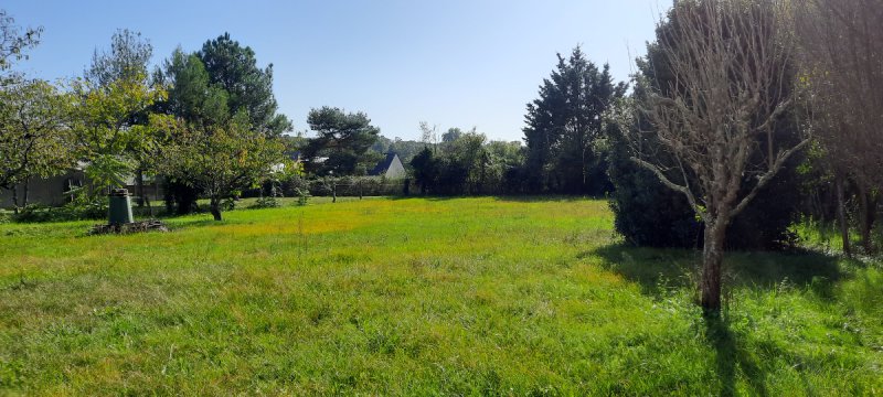 Photo mobile 1
