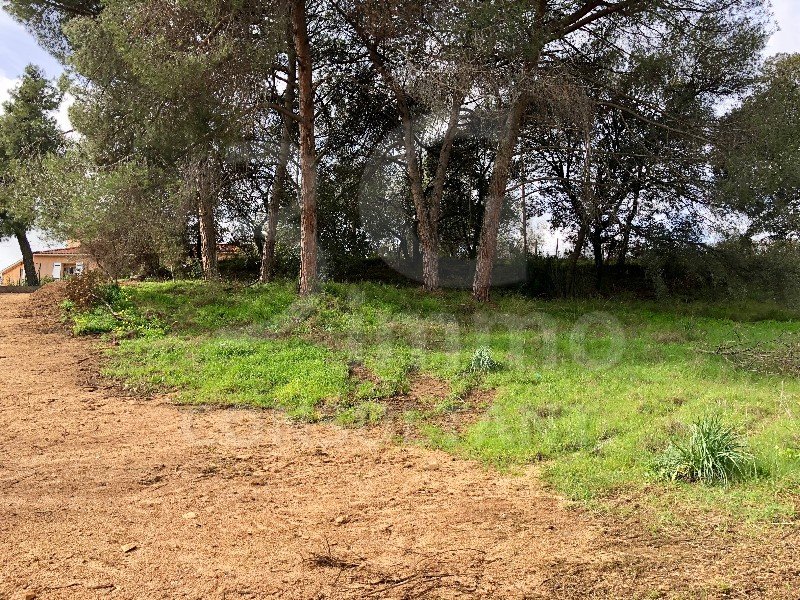Terrain à Afa (20167)