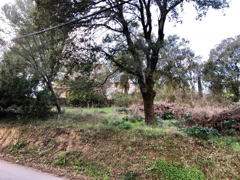 Terrain à Appietto (20167)
