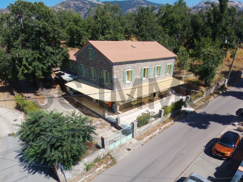 Immeuble à Évisa (20126)