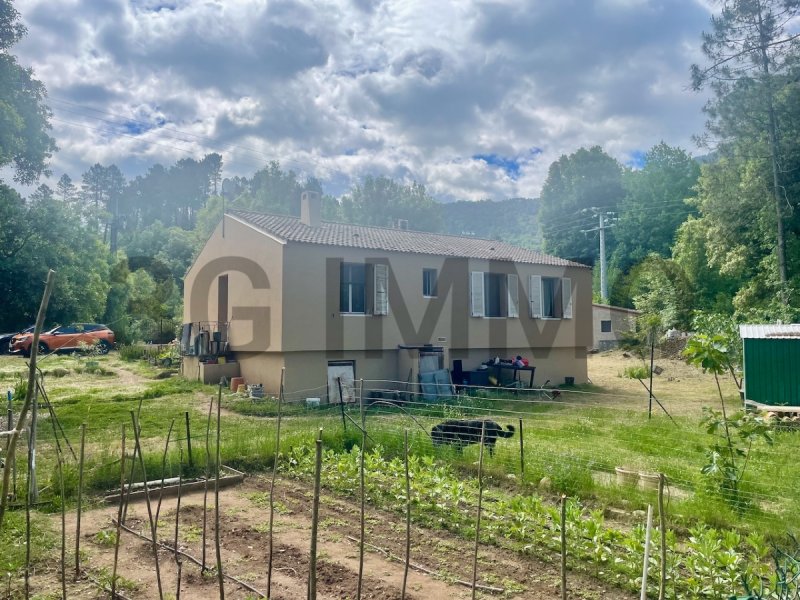 Maison à Vico (20160)