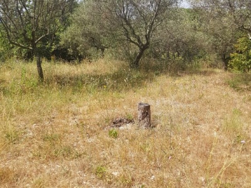 Terrain à Nages-Et-Solorgues (30114)