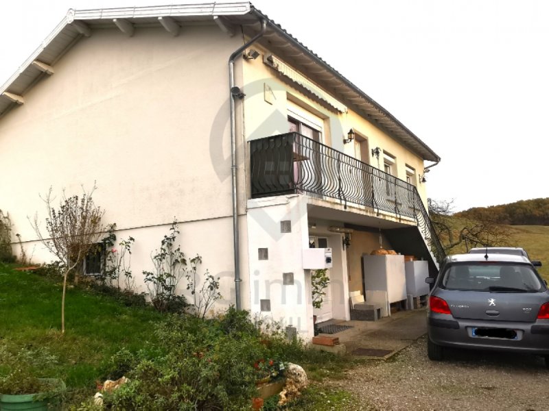 Maison à Saint-Paul-Cap-De-Joux (81220)
