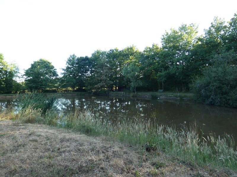 Photo mobile 1