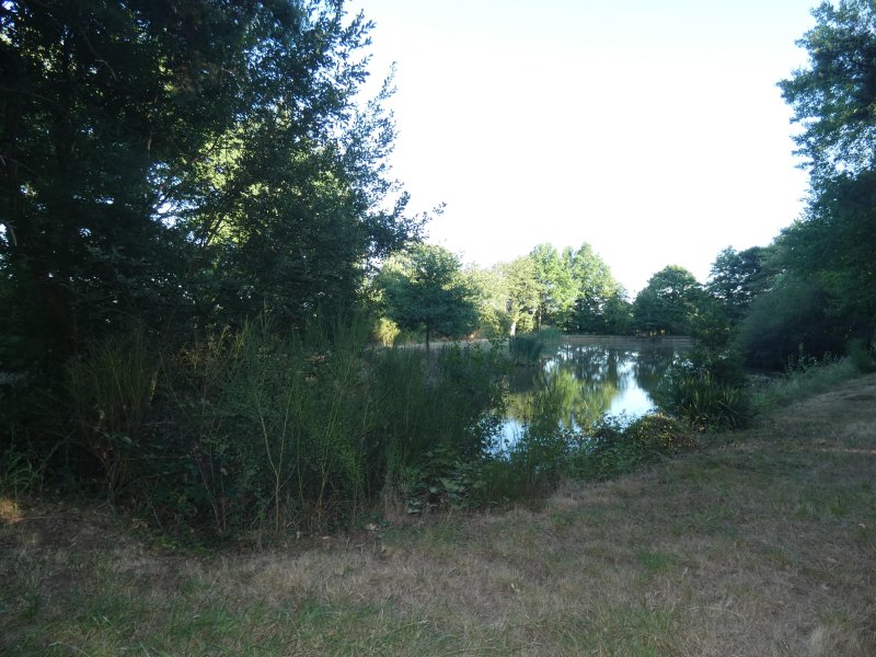 Photo mobile 1