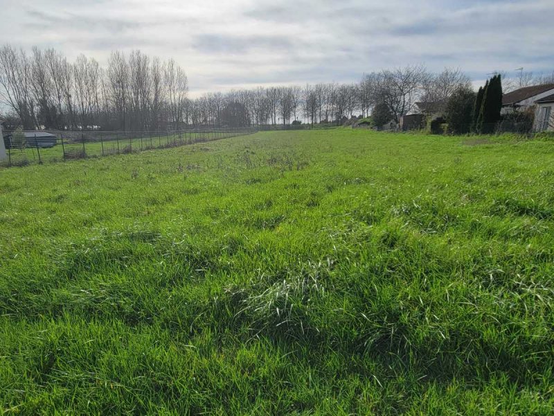 Terrain à Mirebeau (86110)