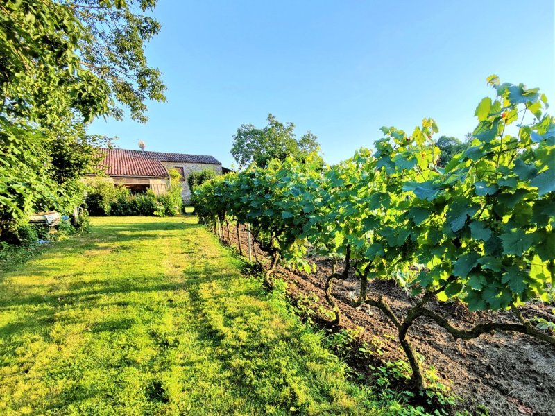 Corps de ferme à Mirepoix (09500) - Photo 5