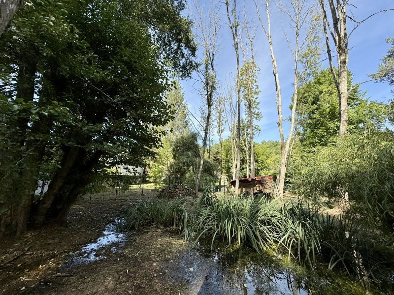 Maison à La Chapelle-la-Reine (77760) - Photo 4