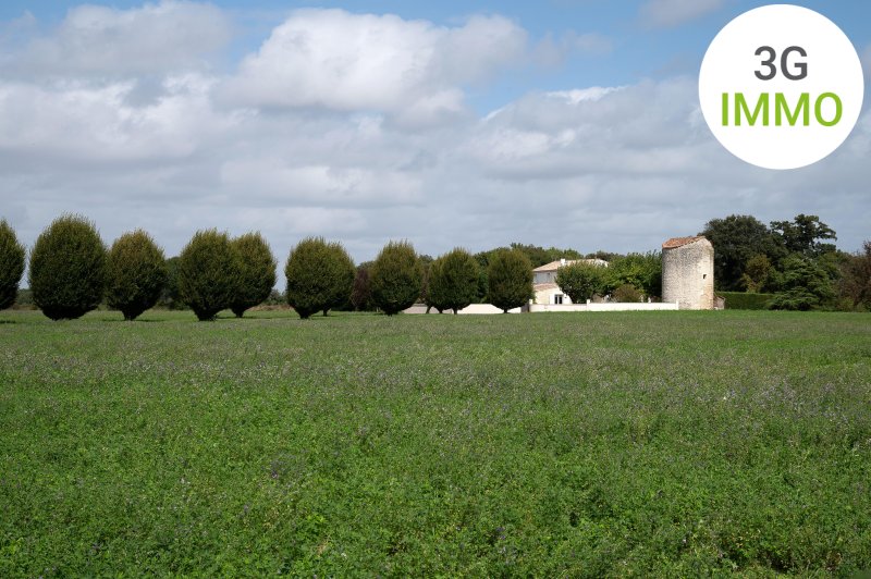 Photo mobile 1