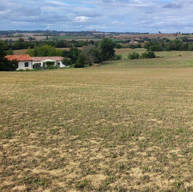 Photo mobile 1