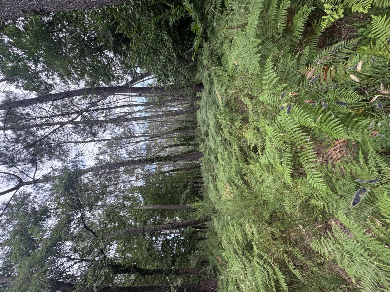 Photo mobile 1